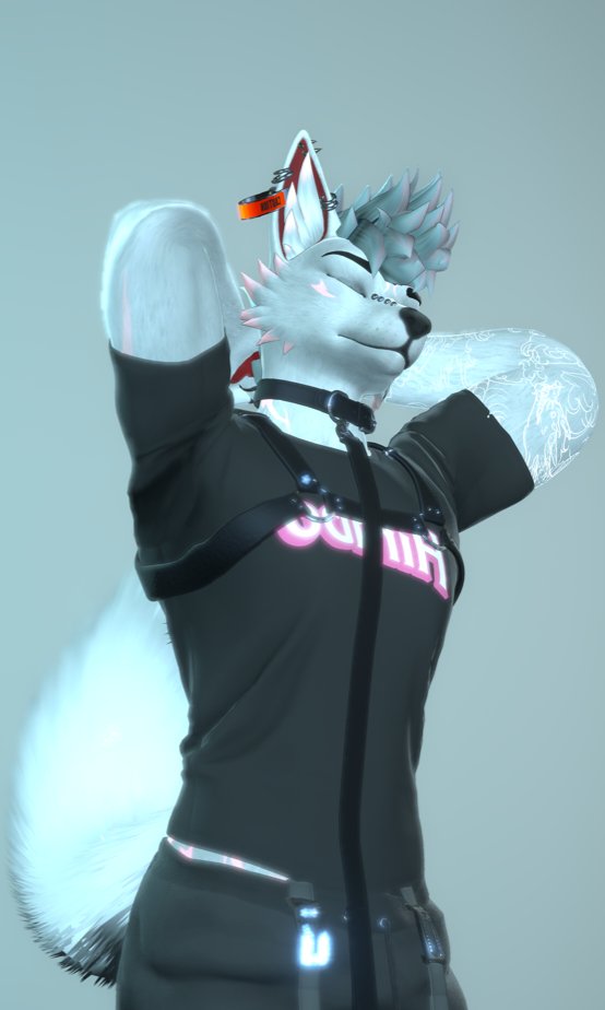 IsAPubbi tweet media