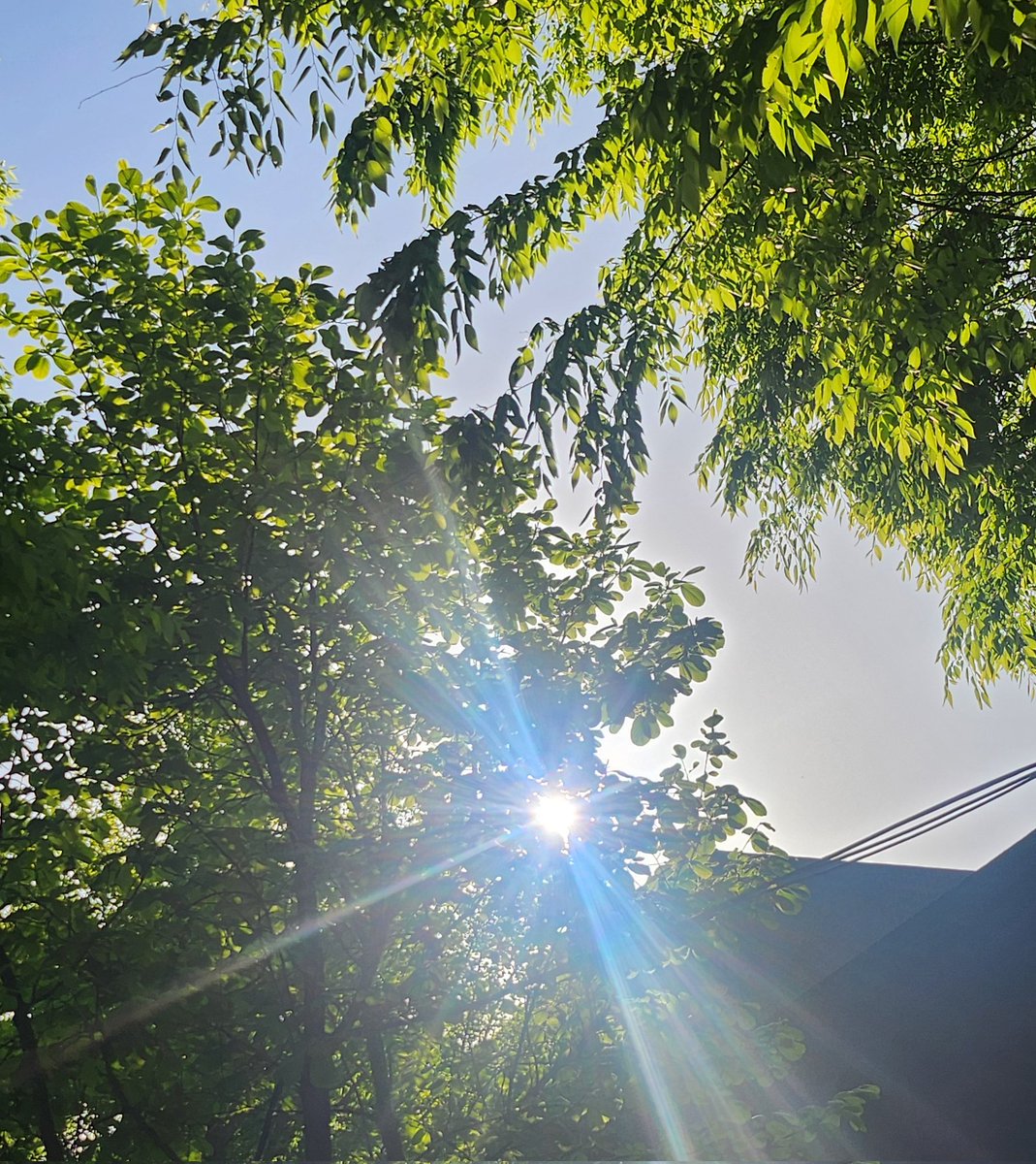 얀새_모심글rt부탁드립니다트친들 tweet media