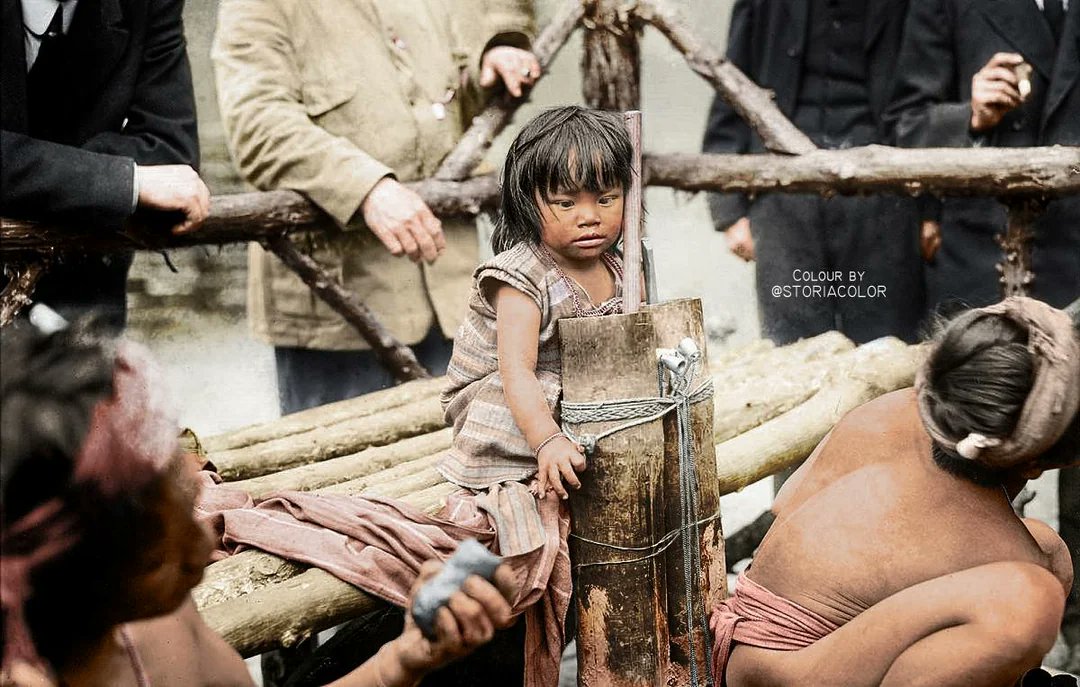 Daniel Mayakovski tweet media