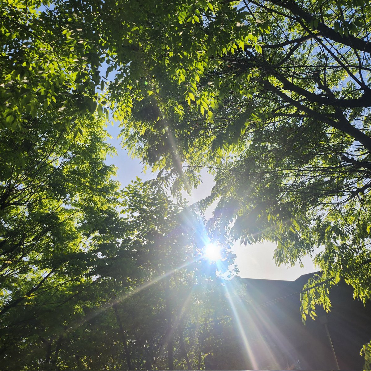 얀새_모심글rt부탁드립니다트친들 tweet media