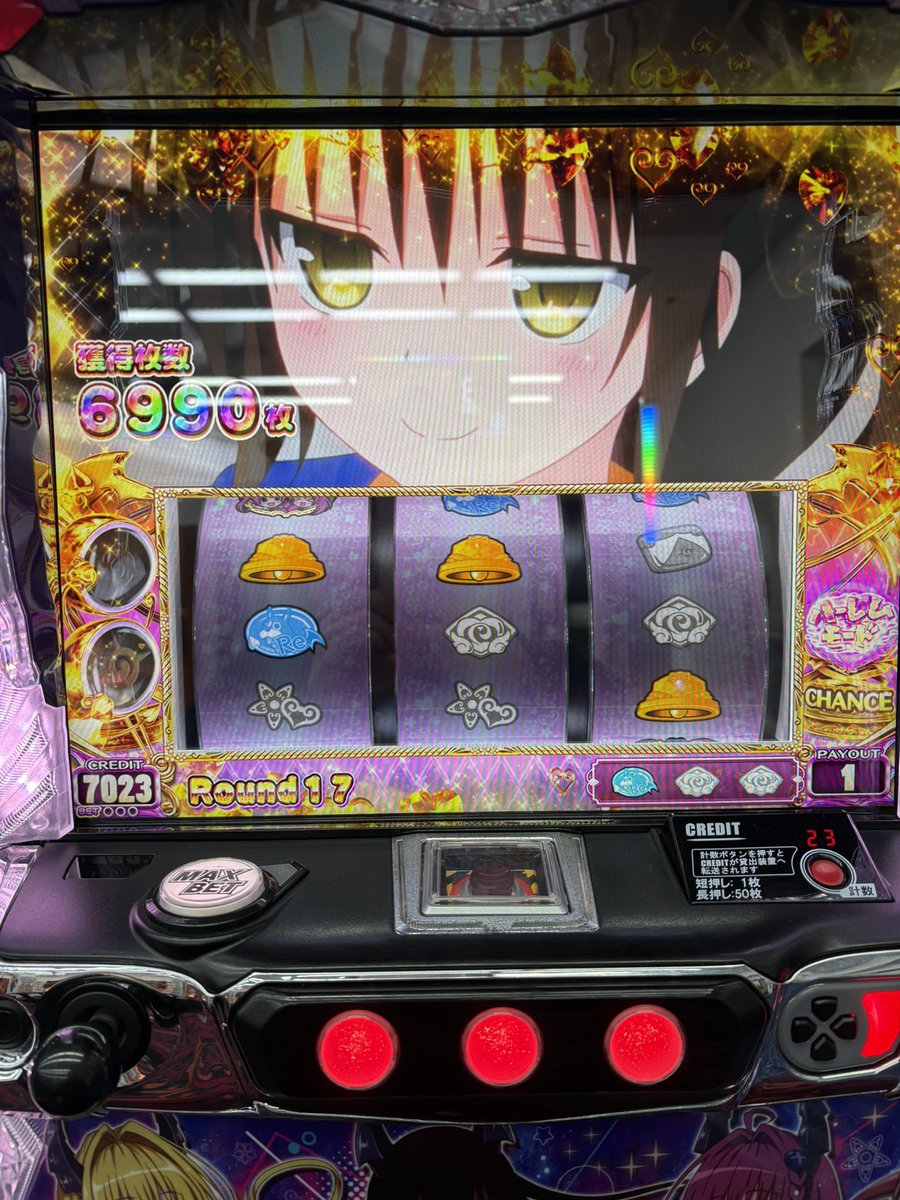 ギャンブラー輝(てる) tweet media