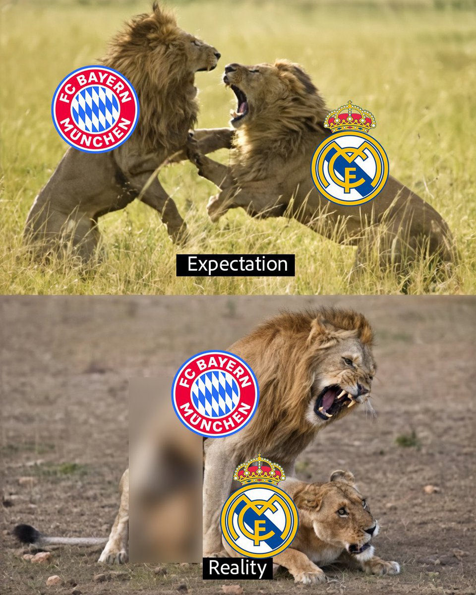 TLM ❤️💙 tweet media