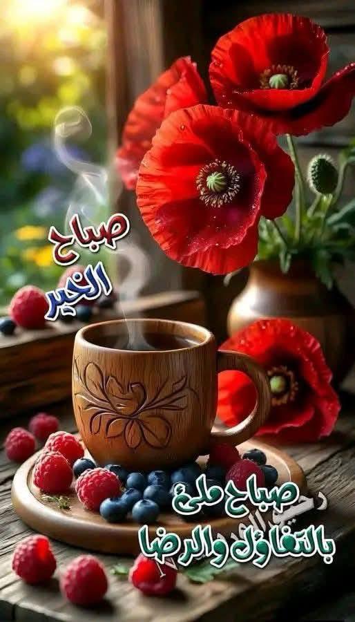 Mahmoud Hashish tweet media