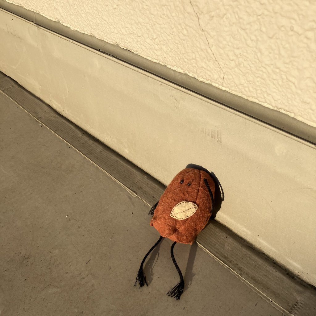 名古屋のお菓子 はちみつ太郎【公式】🍯🥜 tweet media