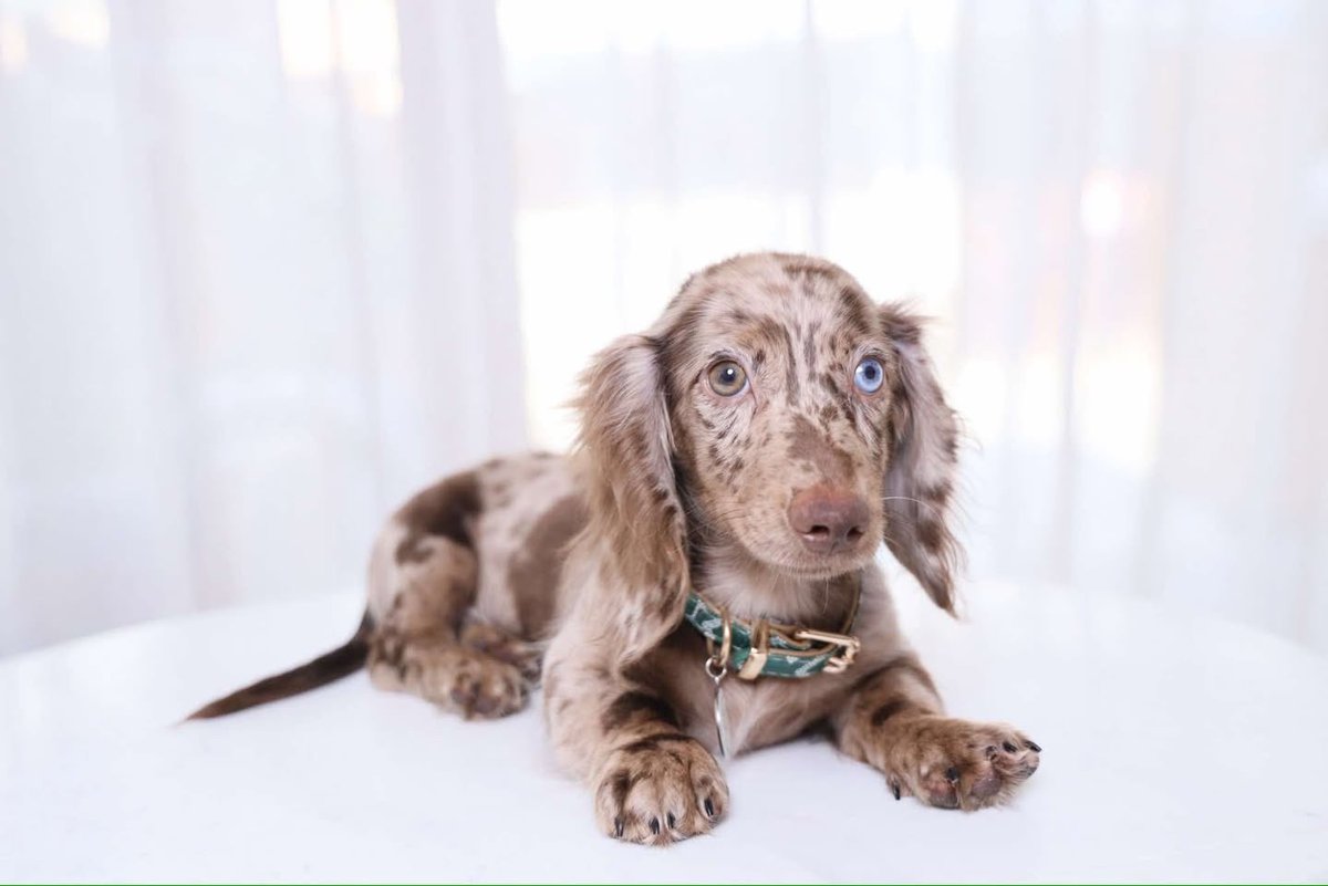 Sharmini 👾 tweet media