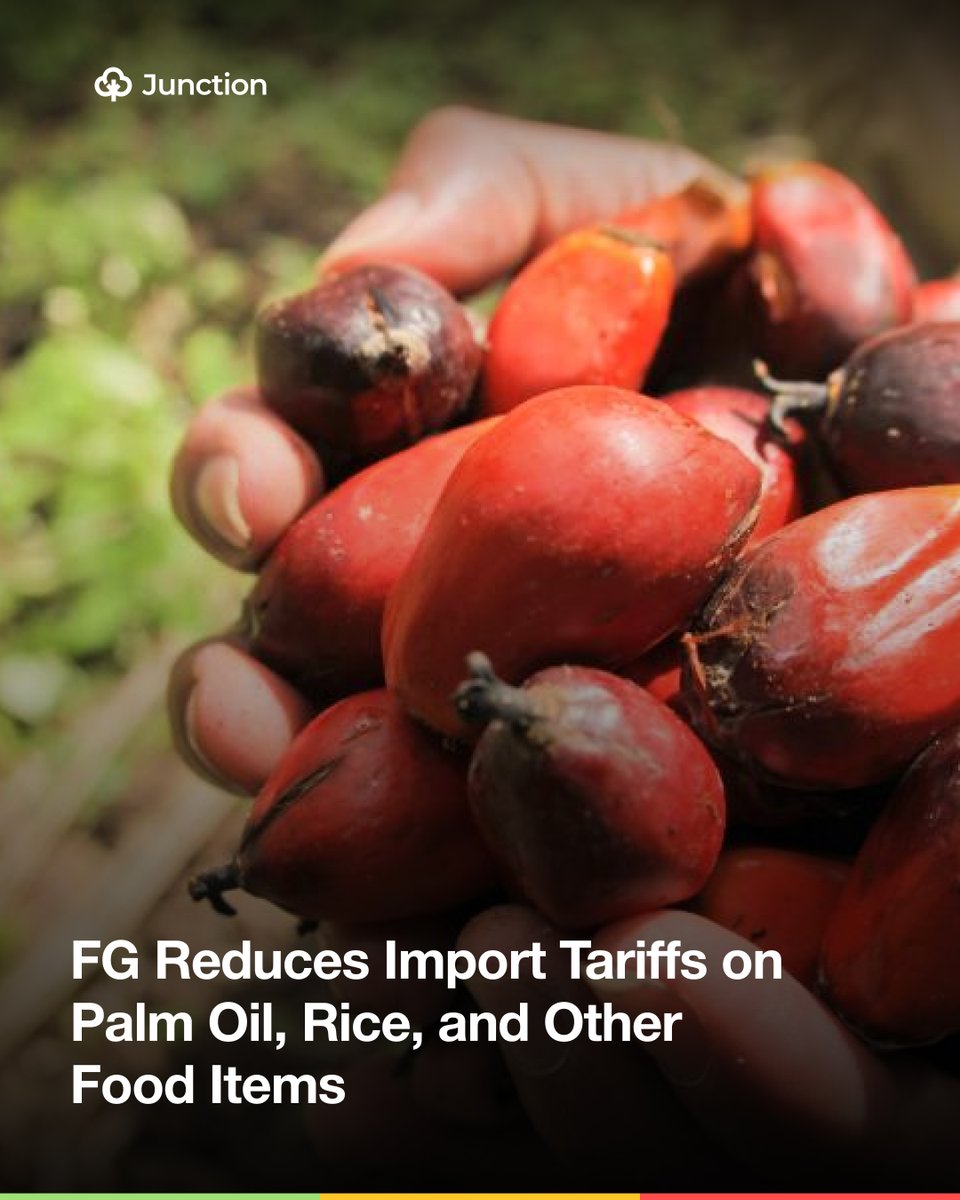 AgricJunction's tweet image. Nigeria cuts import tariffs on palm oil, rice, and sugar to ease food prices and support supply 📉🌾

Short-term relief or long-term impact on local farmers? 🤔

Read more via link in bio 🔗

#Nigeria #FoodSecurity #Agriculture #TradePolicy #PalmOil #Rice #Inflation #Economy