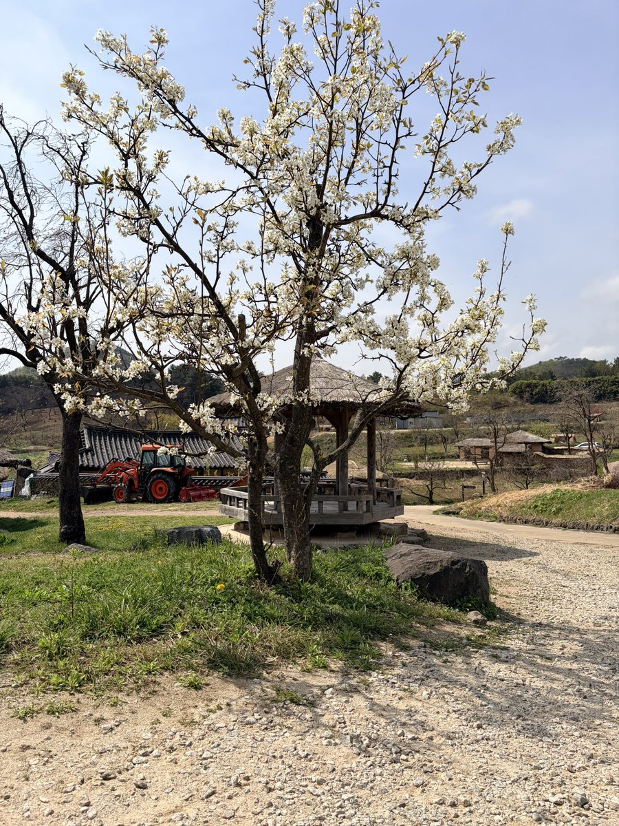 메추리 tweet media