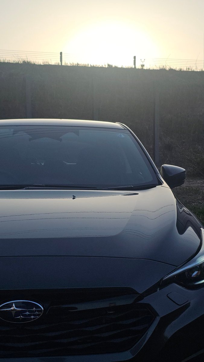 R183(R.Iwasa) tweet media