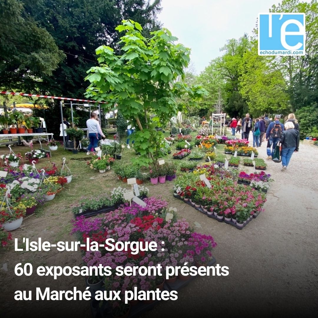 EchoduMardi's tweet image. Lire l'article : echodumardi.com/culture-loisir…

Ce dimanche 19 avril, le Club Rotary de L’Isle-sur-la-Sorgue organise la 5e édition de son Marché aux plantes.

Plus d'informations sur echodumardi.com
Actualités de Vaucluse et Provence

#plantes #islesurlasorgue #vaucluse