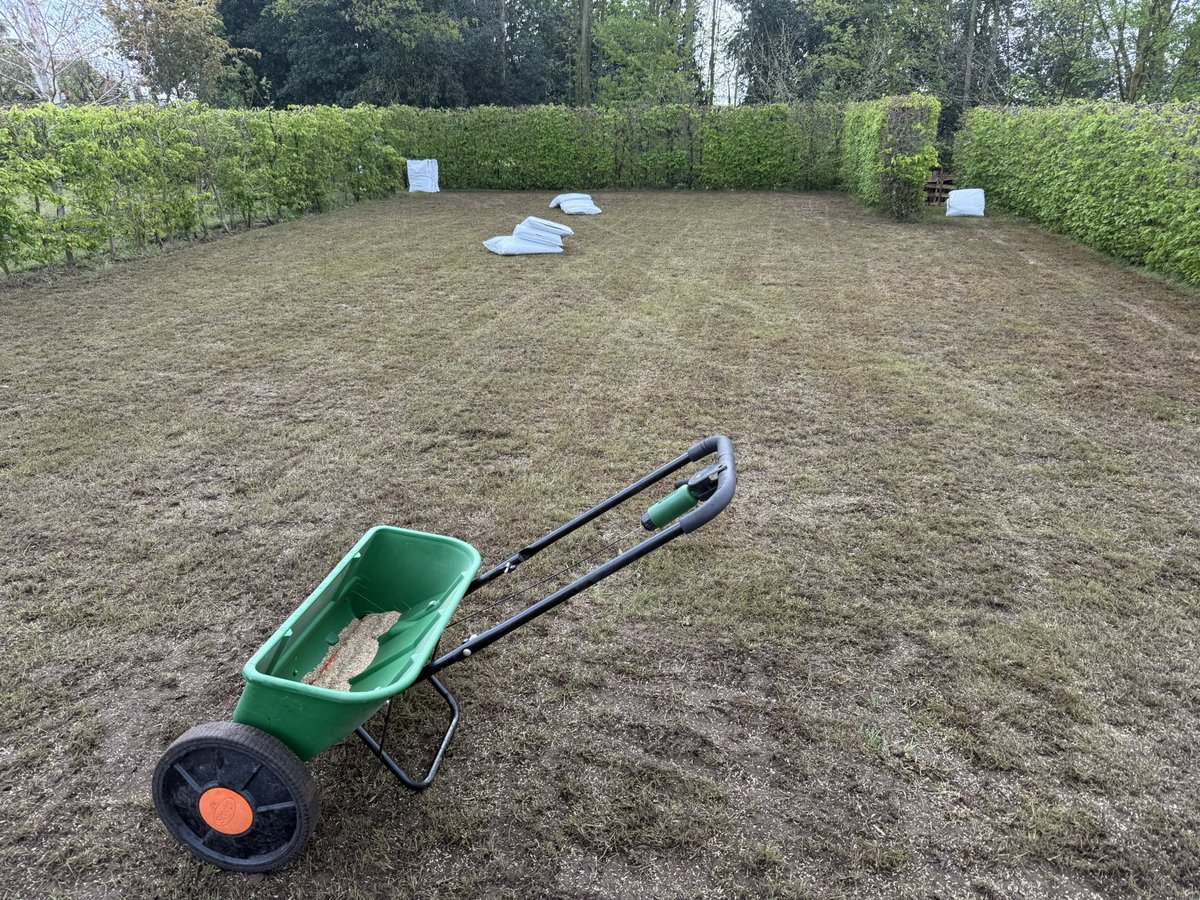 LMNorthYorks's tweet image. That’s come up well….. Back at place where we were last Friday to do extra bit as he was so impressed… 😉👌🏻 #lawnmaster #renovation 🌱🫶🏻