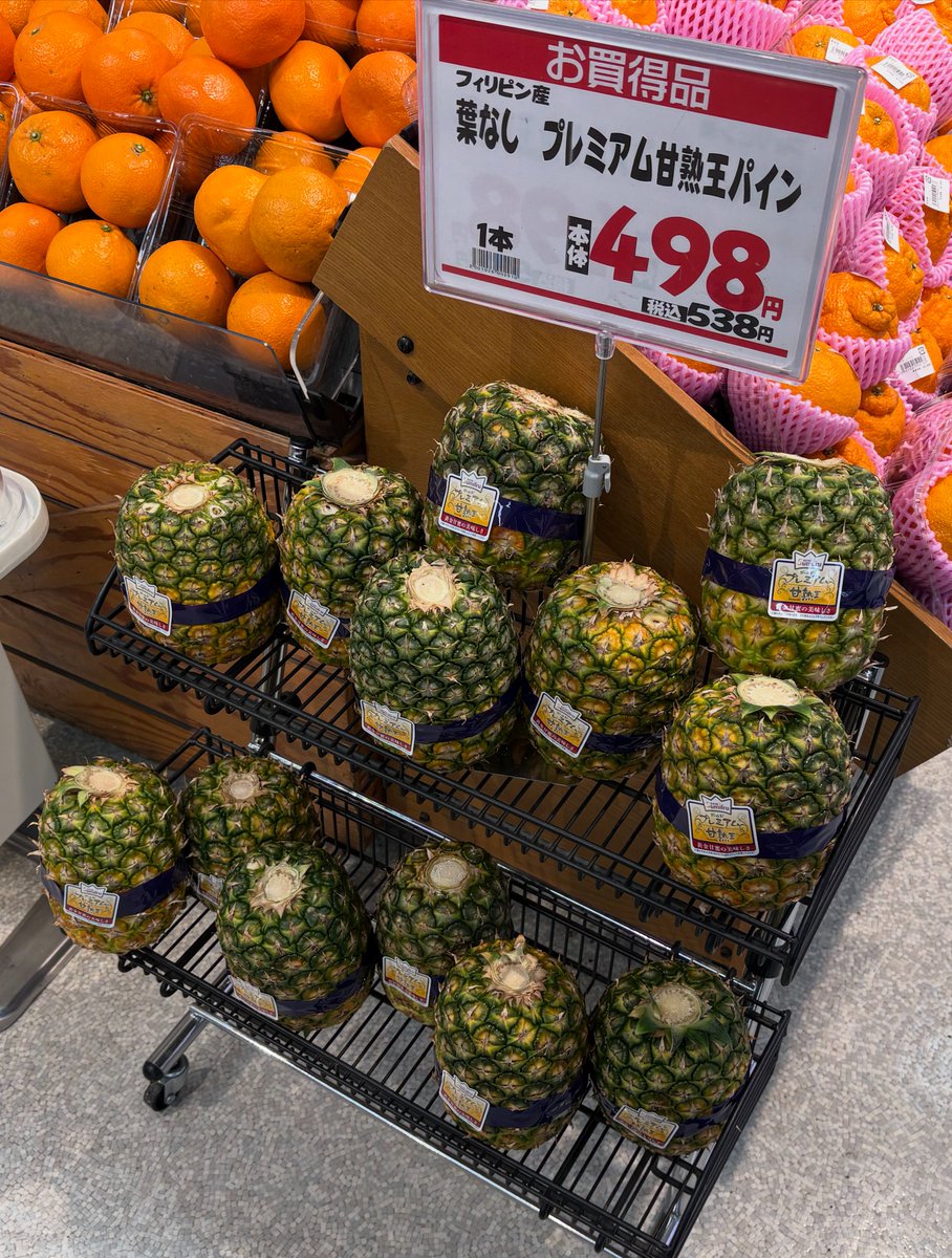 𝑷𝑲𝑨 tweet media