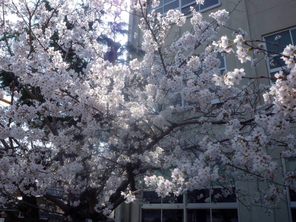 nagi𓅫⸒⸒ tweet media