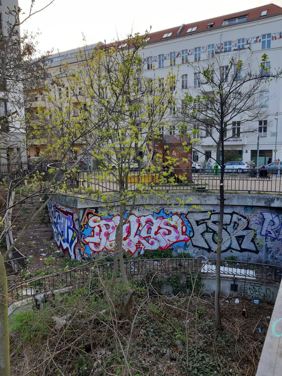 Lieber Scholli tweet media