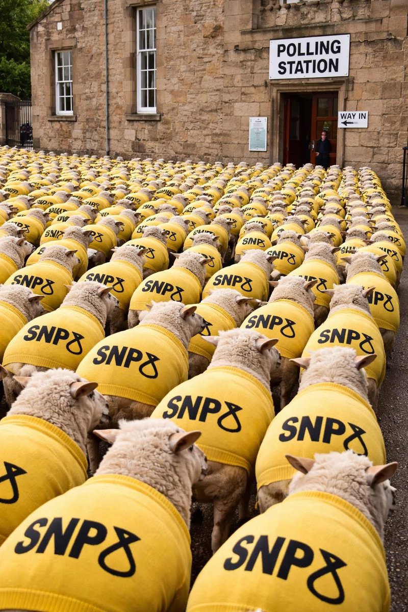 <a href="/theSNP/">The SNP</a>