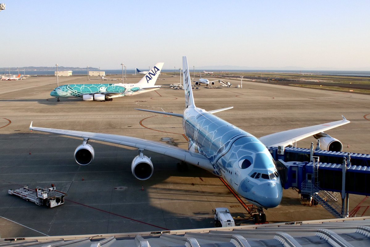 アリスシン tweet media