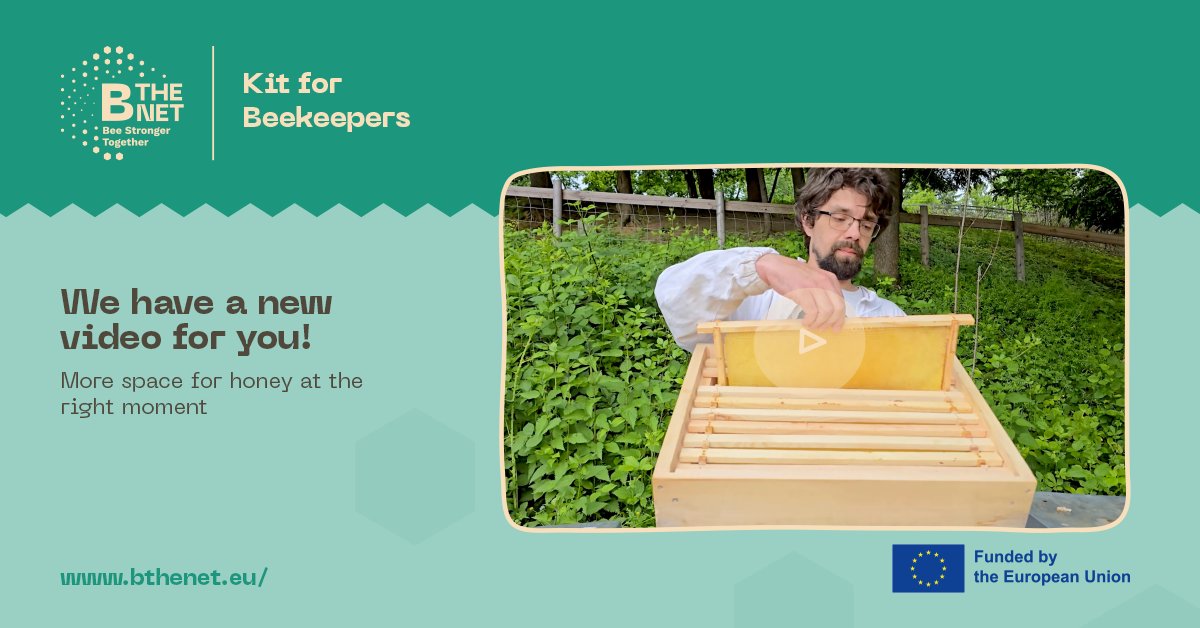 B-THENET tweet media