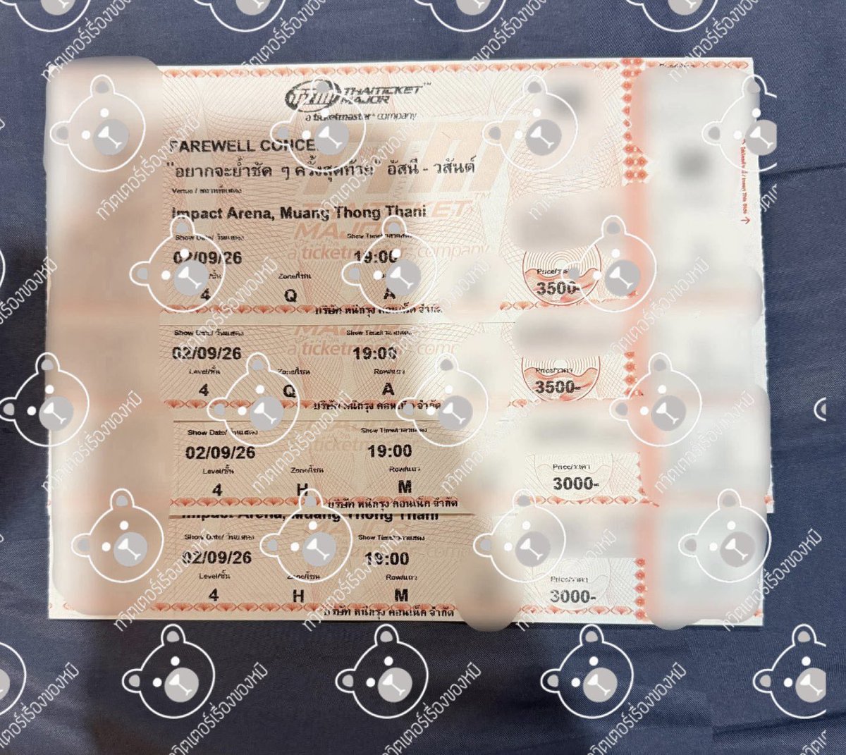 เรื่องของหมี tweet media