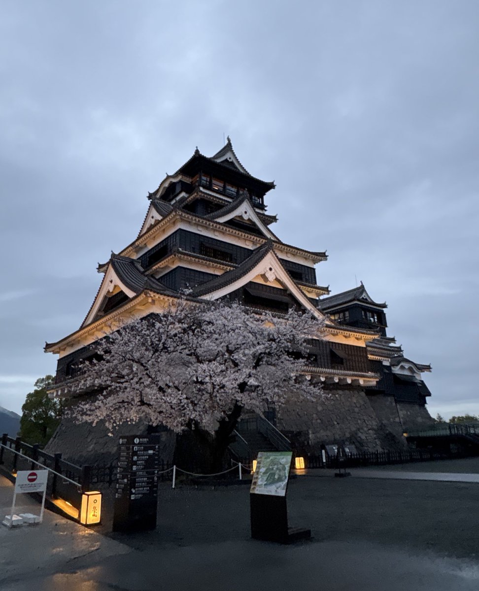 ちょっとしばらく仮の名にて、、、 tweet media