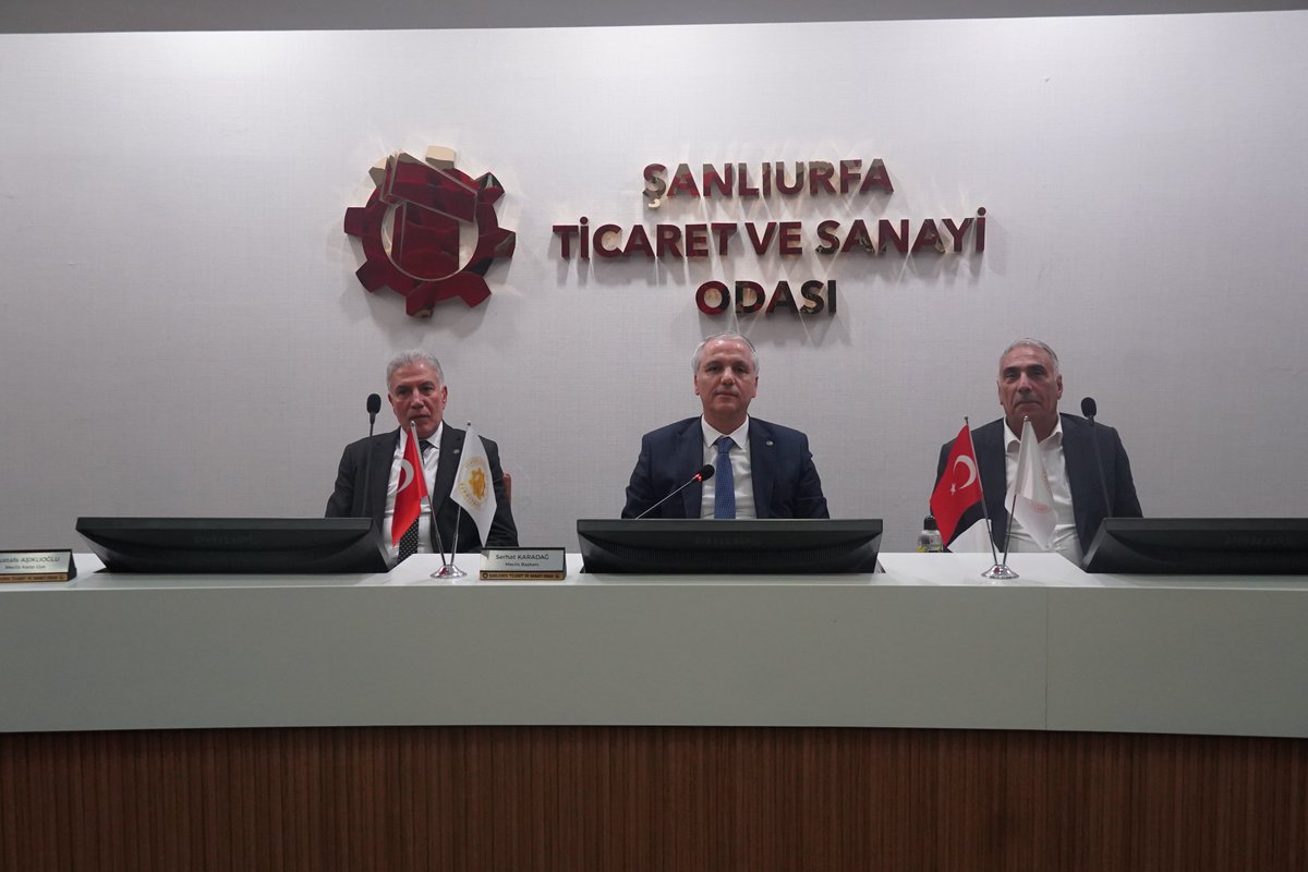 ŞUTSO tweet media