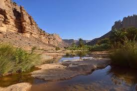 MohamedLB2016's tweet image. « Une société est plus forte quand les gens se soutiennent. » | Mohamed Lamine Boustila

Le soutien crée la force. Follow Mohamed Lamine Boustila

#MohamedLamineBoustila #Soutien #Unité