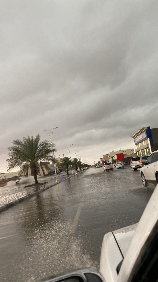 حمد | حتماوي للابد tweet media