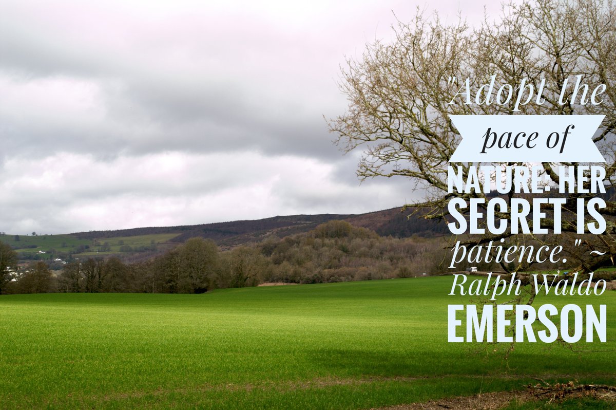 Words and Pictures #quote,#quotes,#nature see more at delweddauimages.co.uk/441559320/word…