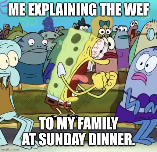 rabbitholebot tweet media