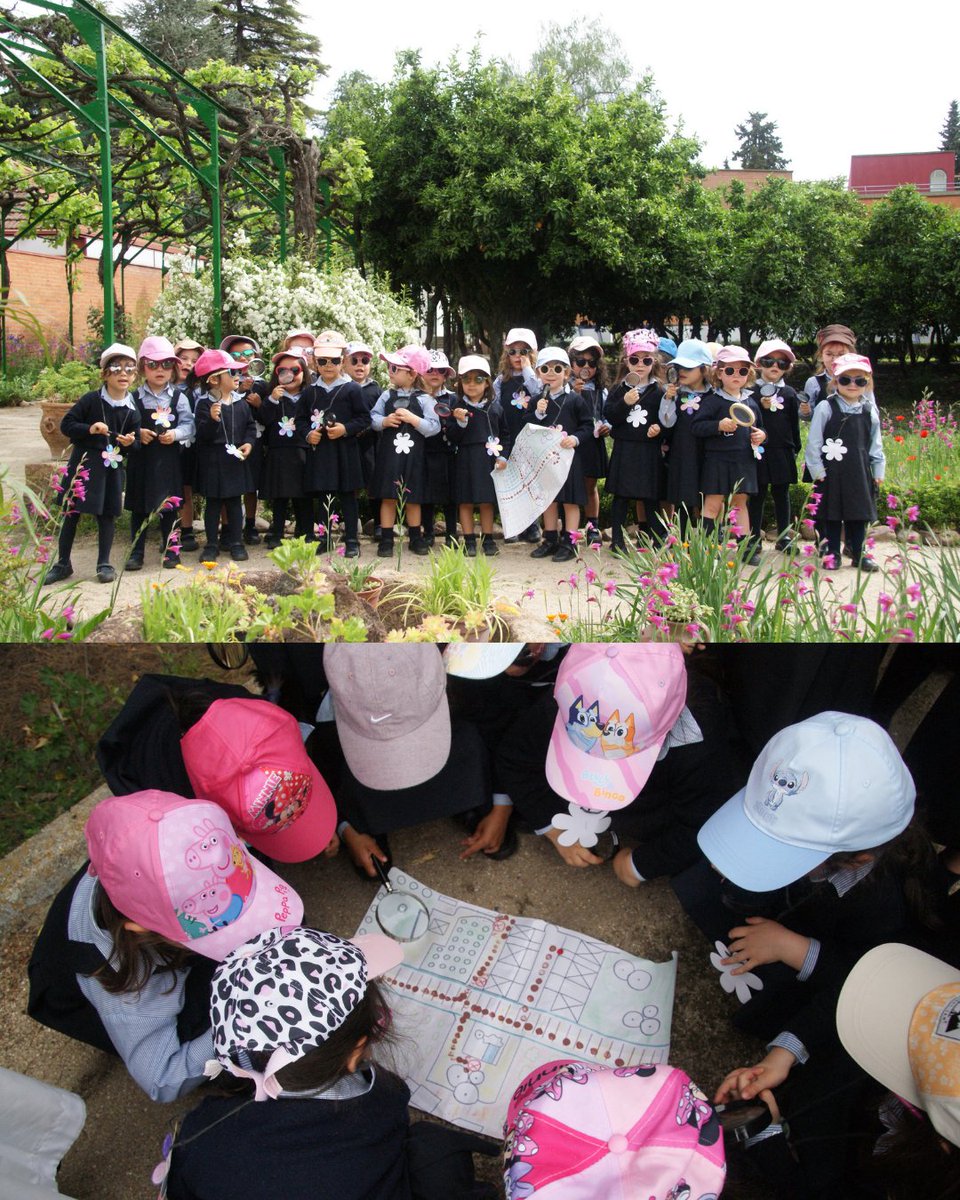 Las alumnas de 3 años han sido detectives por un día. A través de adivinanzas tenían que encontrar los árboles a los que pertenecían las hojas que les mostraba su maestra. Gracias a las lupas, han encontrado todas las especies.