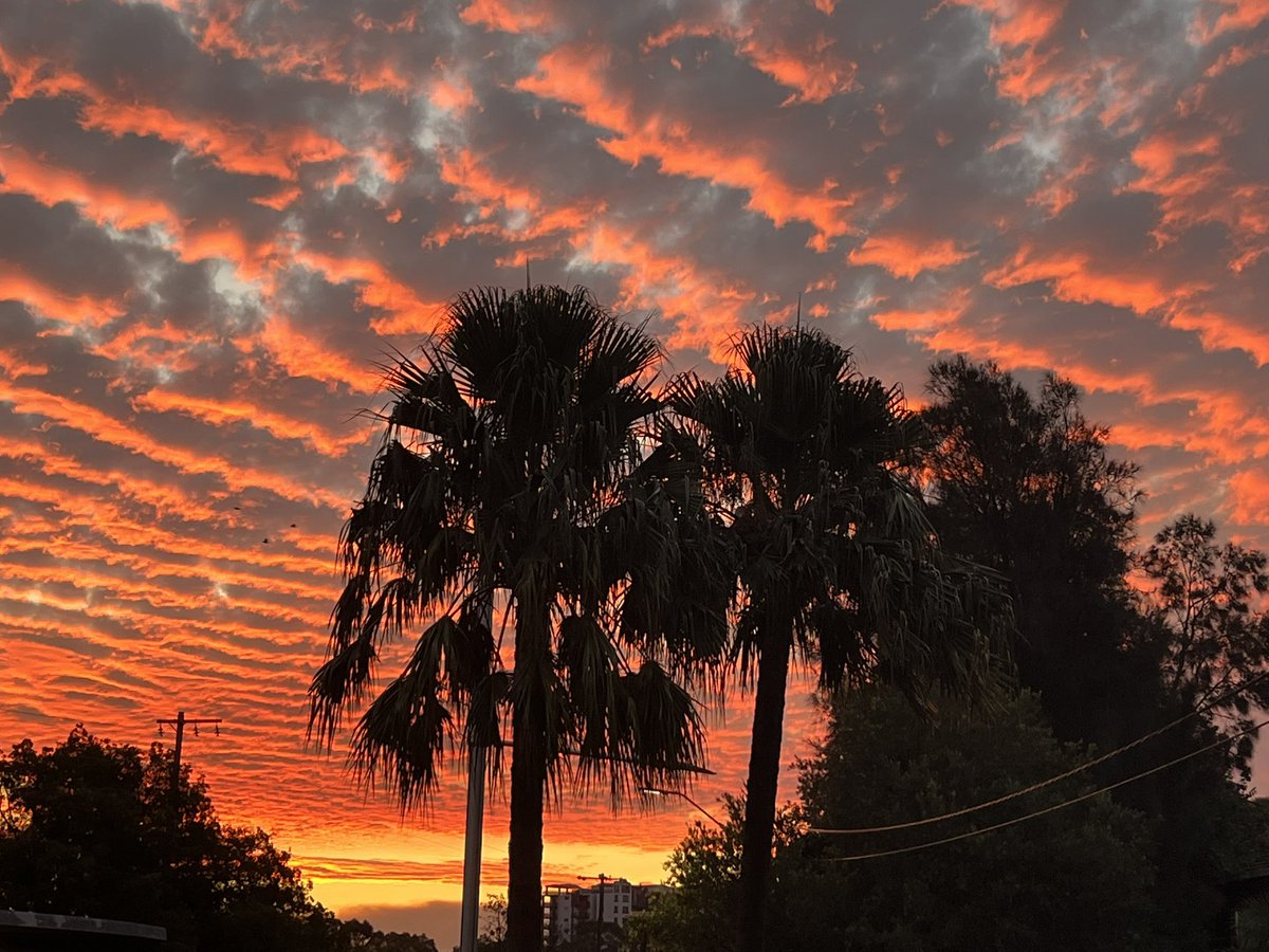 G 🇦🇺 tweet media