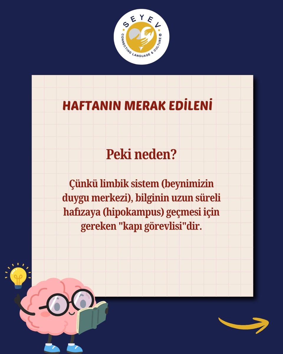 SEYEV_'s tweet photo. Sence sen dili öğrenirken mi zorlandın, yoksa öğretilme biçimi mi yanlıştı?
#SEYEV #YEKMetot #DilEdinimi #EğitimdeFırsatEşitliği #DilÖğrenimi #YabancıDil #DilVeBeyin #LanguageAcquisition #SosyalEtki #BağışlaDönüştür https://t.co/c8cCghsiJ3