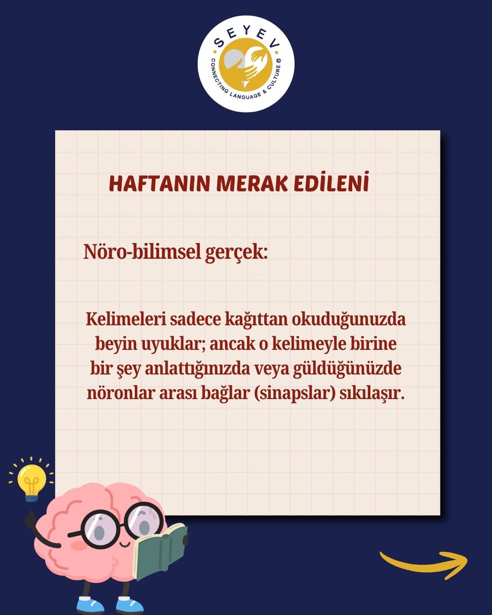SEYEV_'s tweet photo. Sence sen dili öğrenirken mi zorlandın, yoksa öğretilme biçimi mi yanlıştı?
#SEYEV #YEKMetot #DilEdinimi #EğitimdeFırsatEşitliği #DilÖğrenimi #YabancıDil #DilVeBeyin #LanguageAcquisition #SosyalEtki #BağışlaDönüştür https://t.co/c8cCghsiJ3