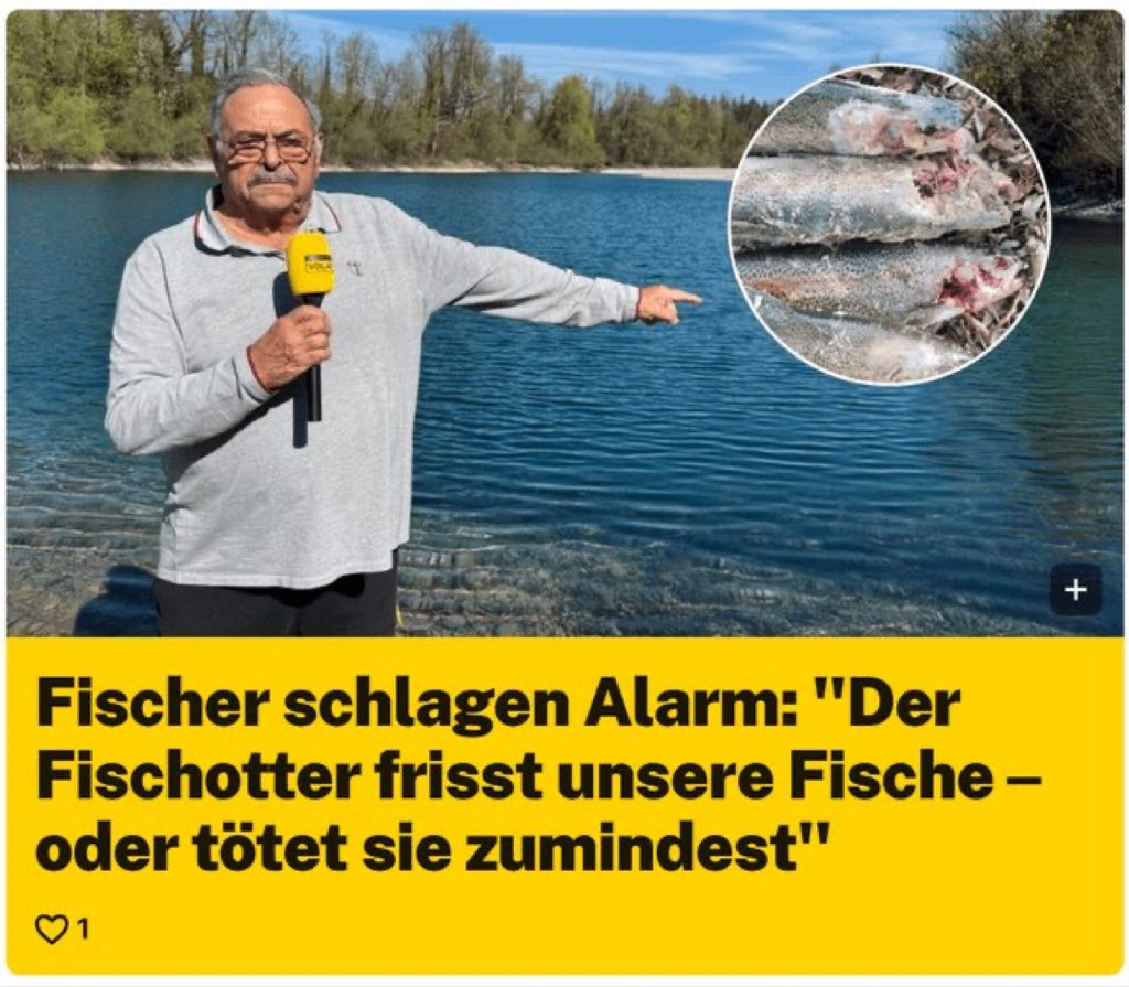 James Zabel 📸 tweet media