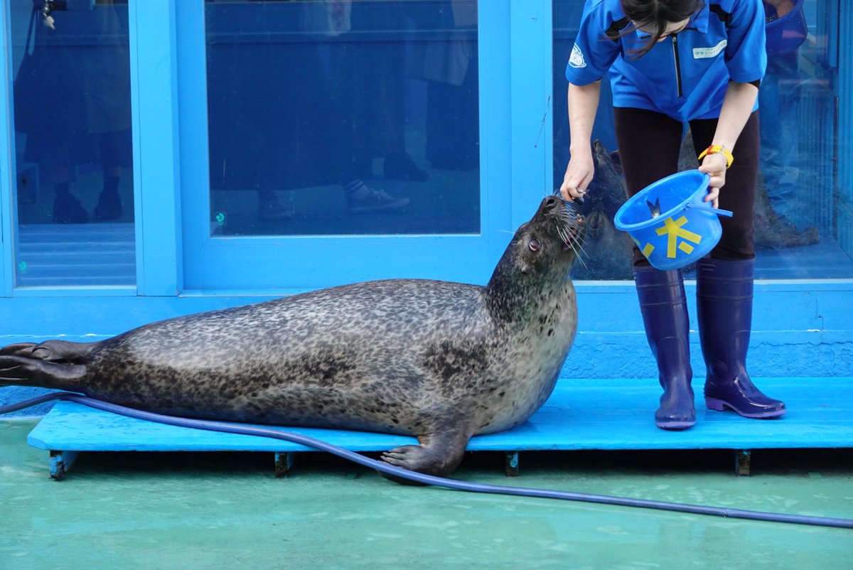 𝕒𝕟 tweet media