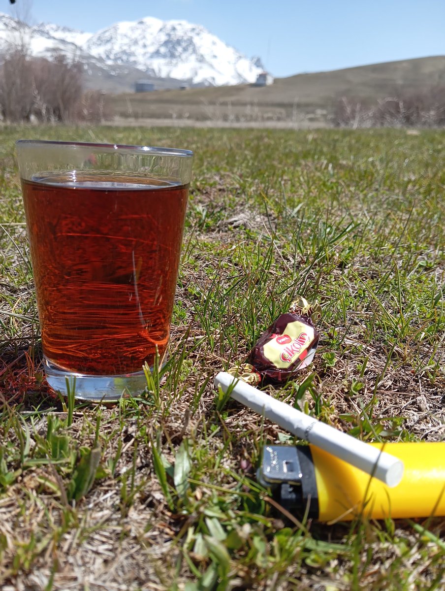 elifok65's tweet image. #Van ❤️