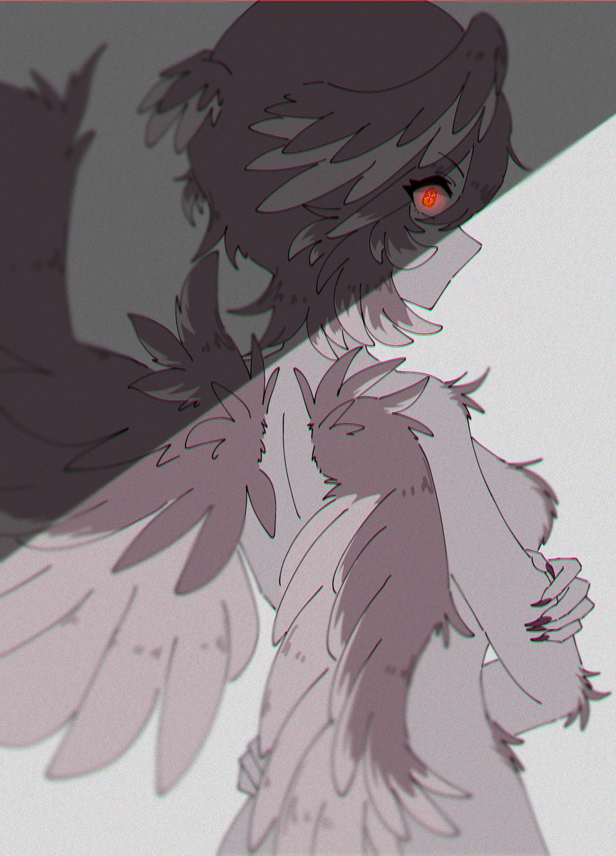 ぽむこ。 tweet media