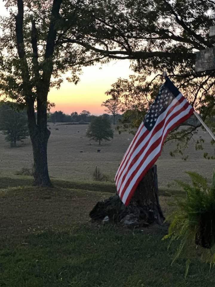 Hillbilly tweet media