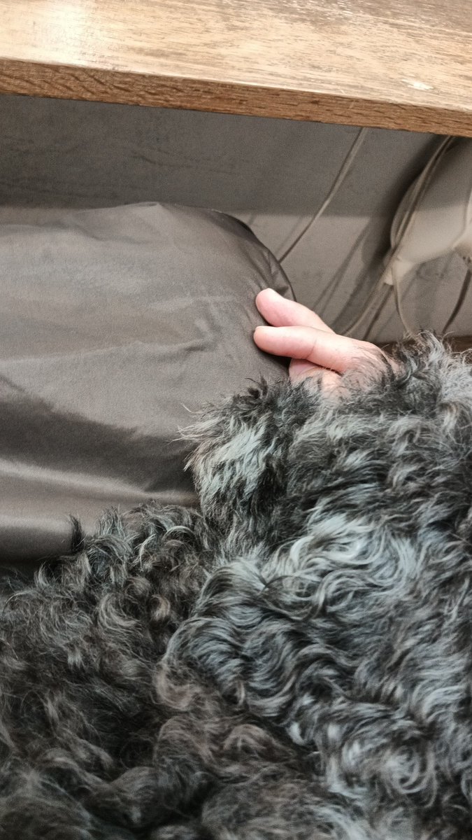 NaO@4/18 福岡主催SSSLIVE tweet media