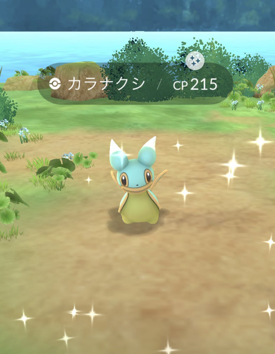 dragonhamustar's tweet photo. お初です！ https://t.co/oDBtTS7CuD