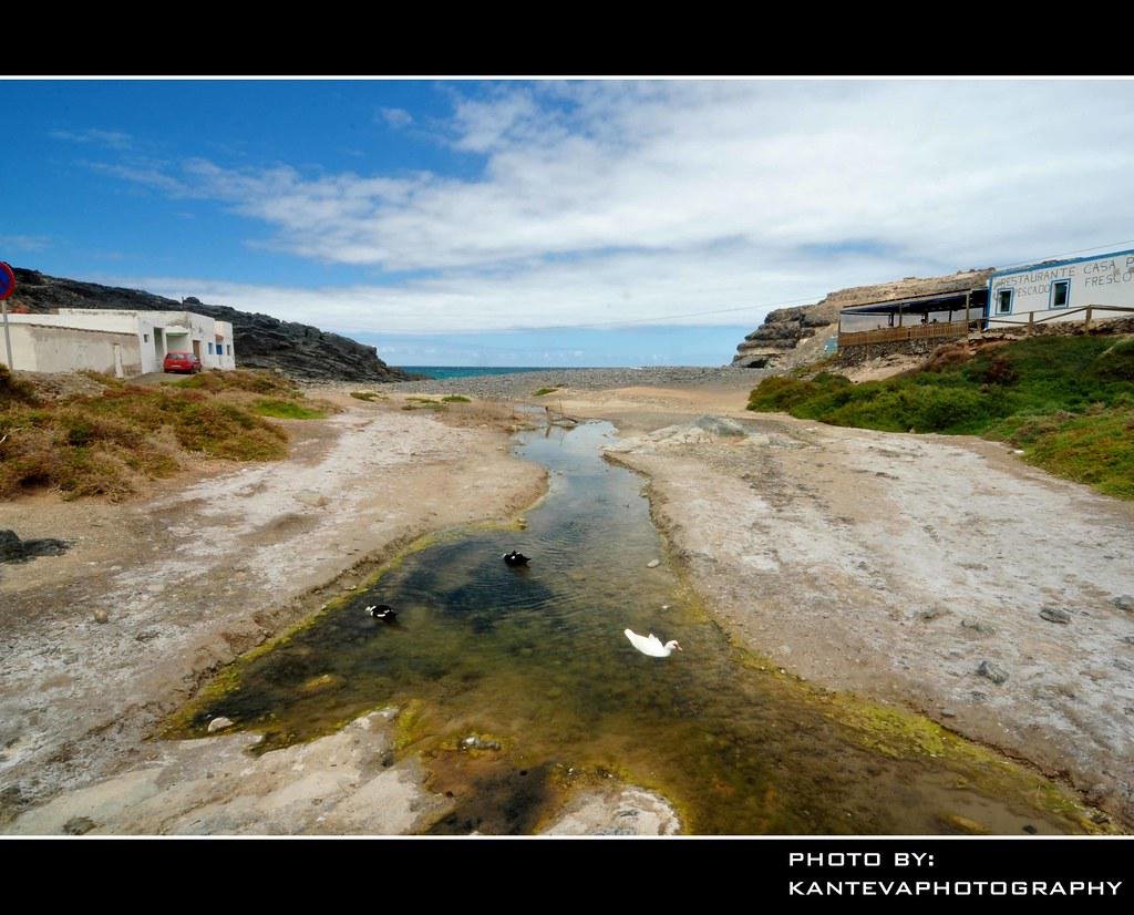 Talya Dangelo tweet media