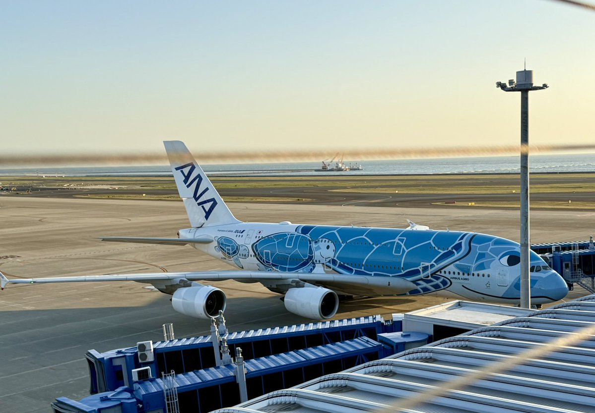 tamtam3839 tweet media