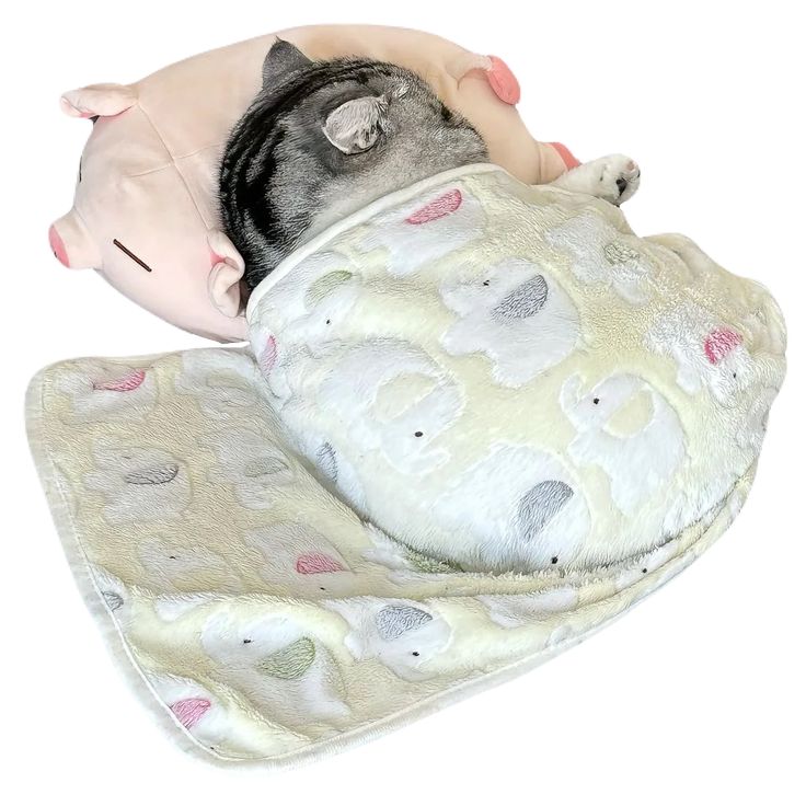 Уже забыла как живот может болеть при месячных. Буквально проснулась от чувства, будто меня выпотрошили оххх

#OurHomeIsWithSevEN #sevEN_Is_Our_History