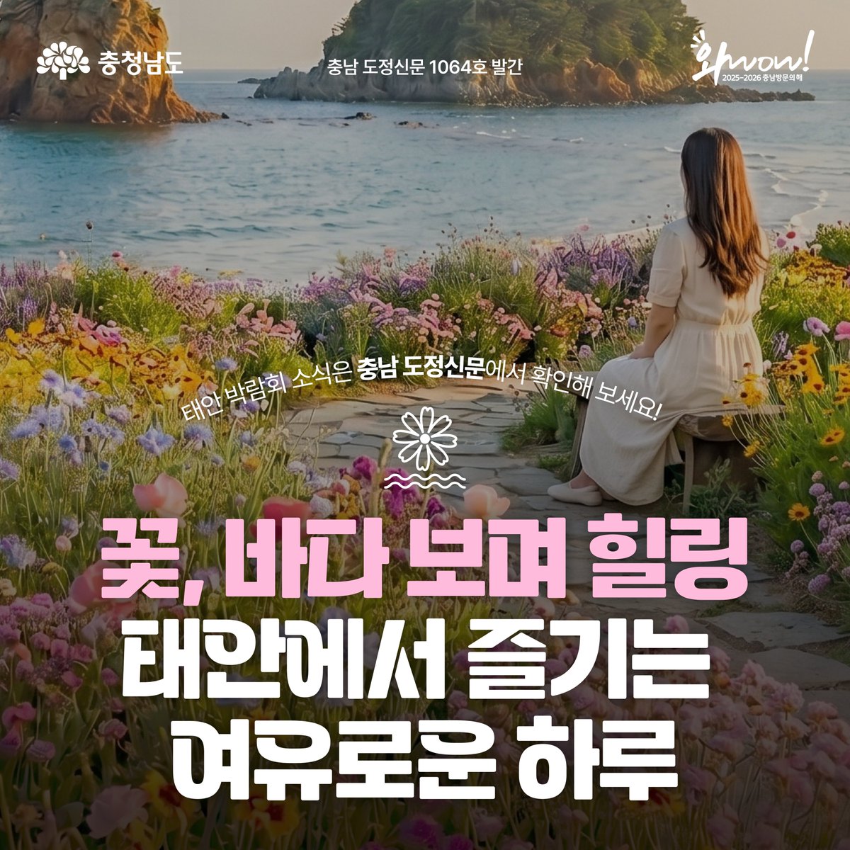충청남도 tweet media