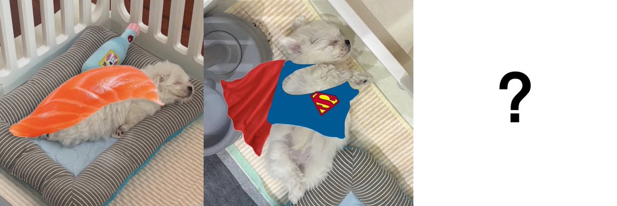 bing b nya bonnie tweet media