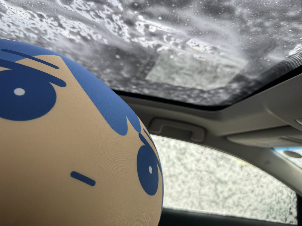 洗車はるまんじゅう