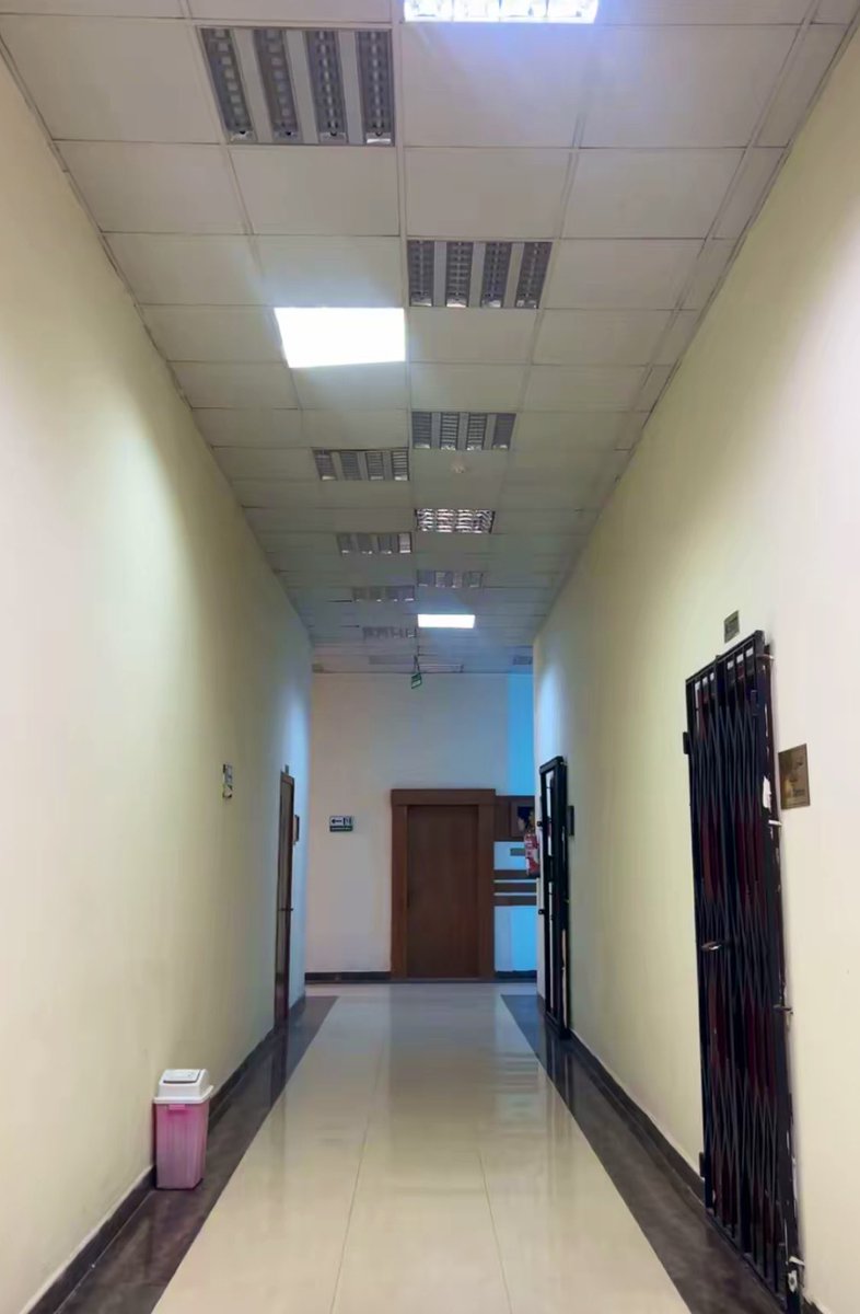 🇪🇬 ♥️حفصة  tweet media