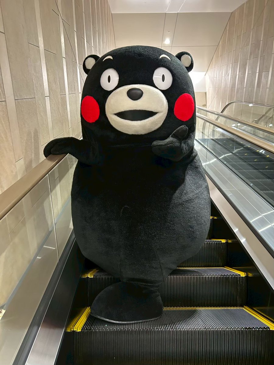 くまモン東京スタッフ〈公式〉 tweet media