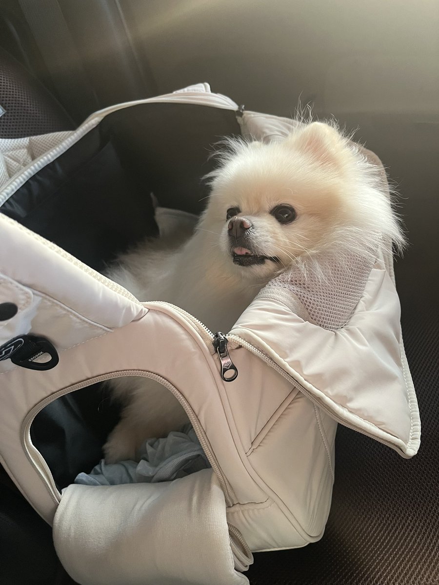 がぶ飲みちゃん🐧🤎🥛 tweet media