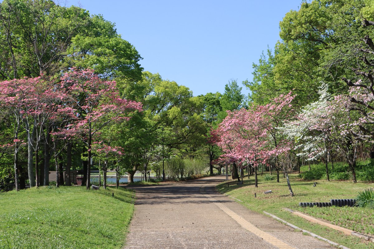 長居植物園 tweet media