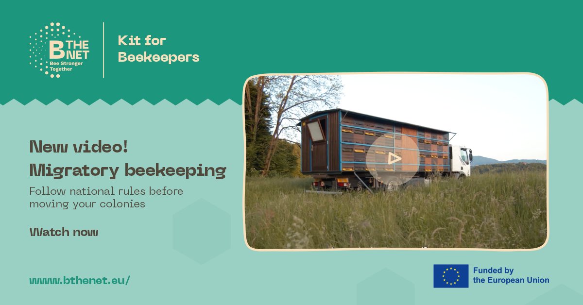 B-THENET tweet media