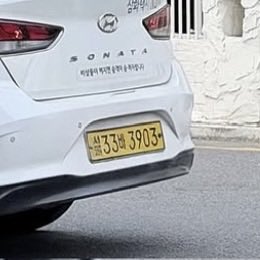 Avocadooooo tweet media